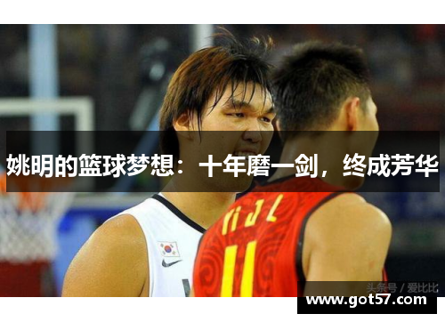 姚明的篮球梦想：十年磨一剑，终成芳华